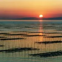 河内海岸の写真・動画_image_201833