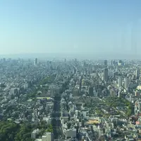 あべのハルカスの写真・動画_image_201855