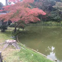 高台寺の写真・動画_image_201859