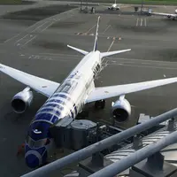 羽田空港国際線ターミナルビルの写真・動画_image_202381