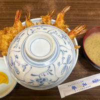 天勝の写真・動画_image_2024482