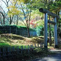 新田塚の写真・動画_image_202534