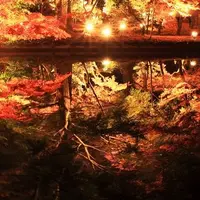 曽木公園の写真・動画_image_202674