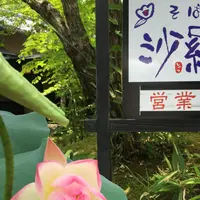 山の飯 沙羅の写真・動画_image_202686