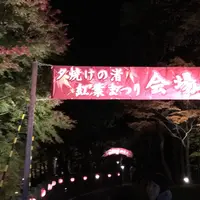 旭日丘湖畔緑地公園の写真・動画_image_202762