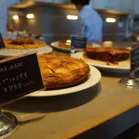 ペーパームーンの写真・動画_image_202785