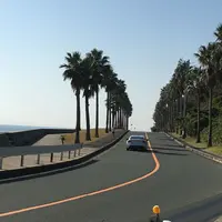 マリンドライブの写真・動画_image_202838
