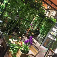青山フラワーマーケット ティーハウスの写真・動画_image_202880