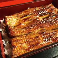 小島屋の写真・動画_image_203011