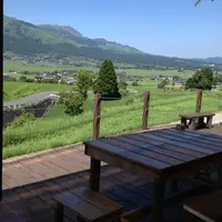 カフェ プルニエの写真・動画_image_203043