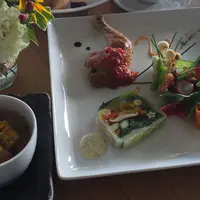 WATER FORESTの写真・動画_image_203071