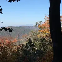 猿投山の写真・動画_image_203159