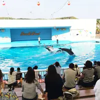 南知多ビーチランドの写真・動画_image_203161