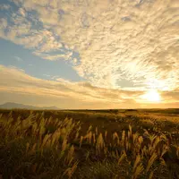 ミルクロードの写真・動画_image_203175