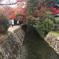哲学の道の写真・動画_image_203200