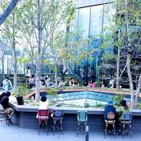 スターバックスコーヒー 東急プラザ表参道原宿店（STARBUCKS COFFEE）の写真・動画_image_203276