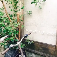 レイン オン ザ ルーフ （rain on the roof）の写真・動画_image_203278