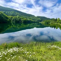 鴫ノ谷地沼の写真・動画_image_2032915