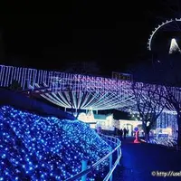 さがみ湖リゾート プレジャーフォレストの写真・動画_image_203308