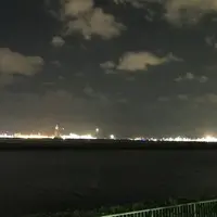 京浜島つばさ公園の写真・動画_image_203336