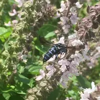 葉祥明阿蘇高原絵本美術館の写真・動画_image_203402