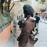 祇園白川の写真・動画_image_203416