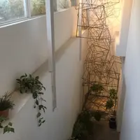 少年junkの写真・動画_image_203444