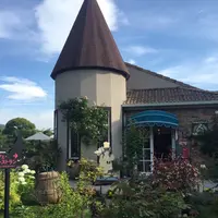 オルソンさんのいちごの写真・動画_image_203594