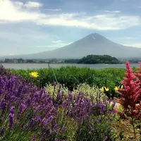 大石公園の写真・動画_image_203595