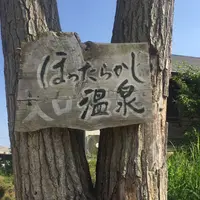 ほったらかし温泉の写真・動画_image_203598