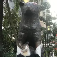 忠犬ハチ公像の写真・動画_image_203681