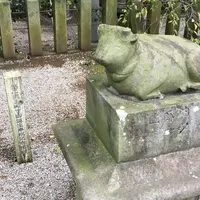山崎菅原神社の写真・動画_image_203717