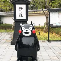 熊本城桜の小路の写真・動画_image_203723
