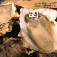 THE OYSTER MANSの写真・動画_image_203728