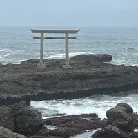 大洗磯前神社 神磯の鳥居の写真・動画_image_2037302