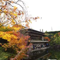 目白庭園の写真・動画_image_203805