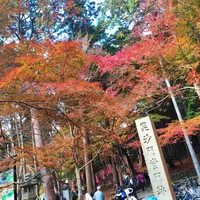 毘沙門堂の写真・動画_image_204430
