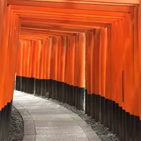 千本鳥居の写真・動画_image_204517