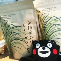 南阿蘇ティーハウス本店の写真・動画_image_204541