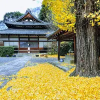 岡崎別院の写真・動画_image_204620