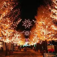 【閉業】としまえんの写真・動画_image_204680