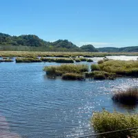 花咲線の写真・動画_image_2047573