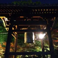 高台寺の写真・動画_image_204825