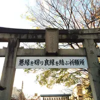 安井金比羅宮の写真・動画_image_204827