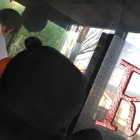 駱駝の写真・動画_image_205130