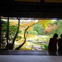 無鄰菴庭園の写真・動画_image_205300