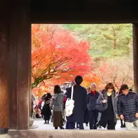 南禅寺の写真・動画_image_205306