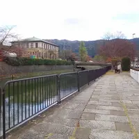 岡崎疏水の写真・動画_image_205340