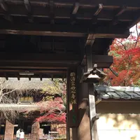 定光寺の写真・動画_image_205374