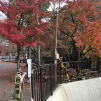 岩屋堂公園の写真・動画_image_205375